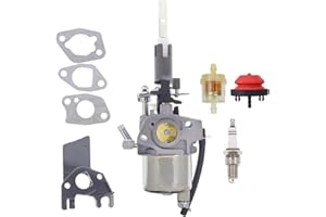 Hutdkte 254cc Snow Blower Carburetor for Husqvarna Craftsman ST224 227P 587154101 LCT 254cc Engines