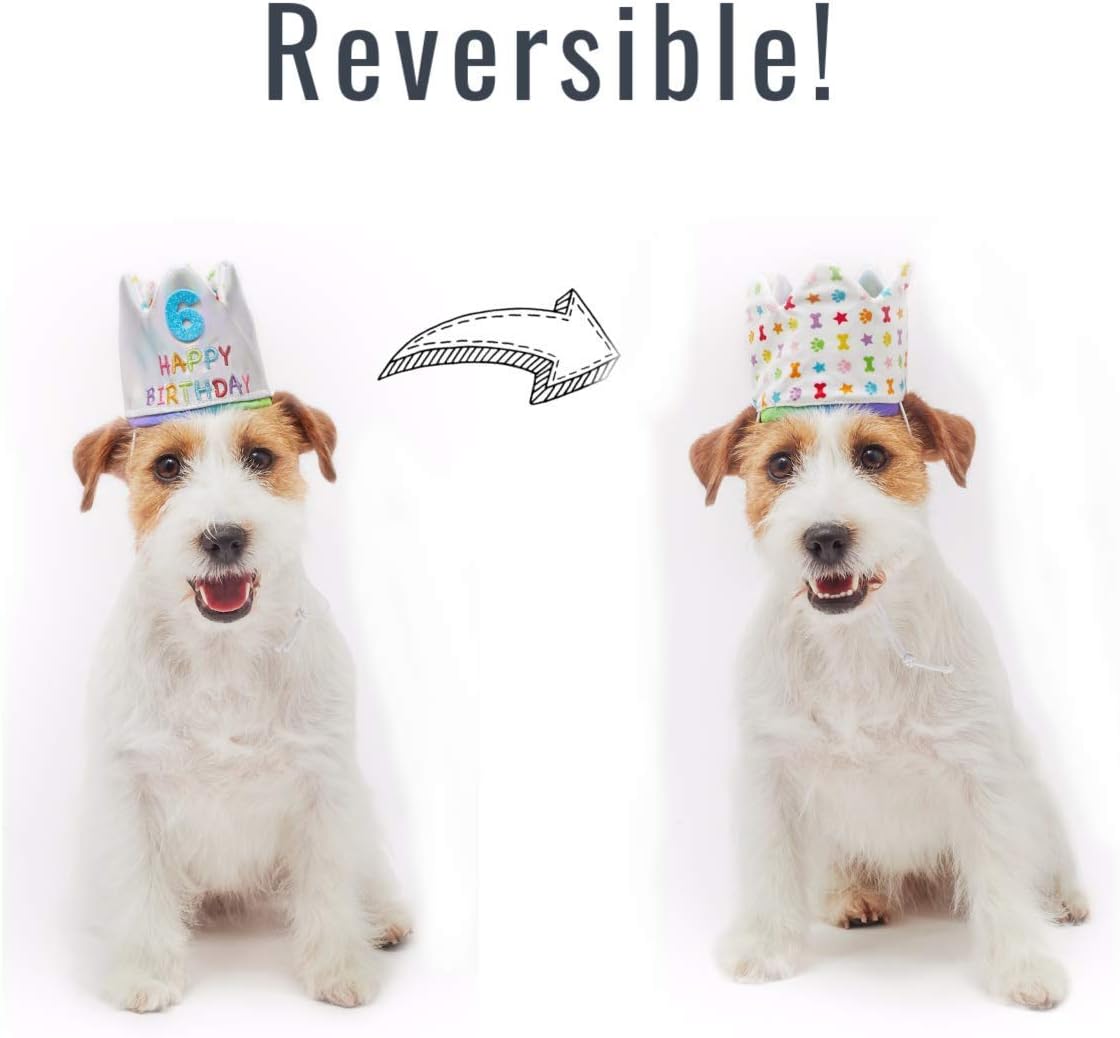 Pet London Happy Birthday Crown Hat for Dogs & Cats-Add Any Age-Glitter Numbers Included (20pcs), Celebrate Pets Birthday - Image 5