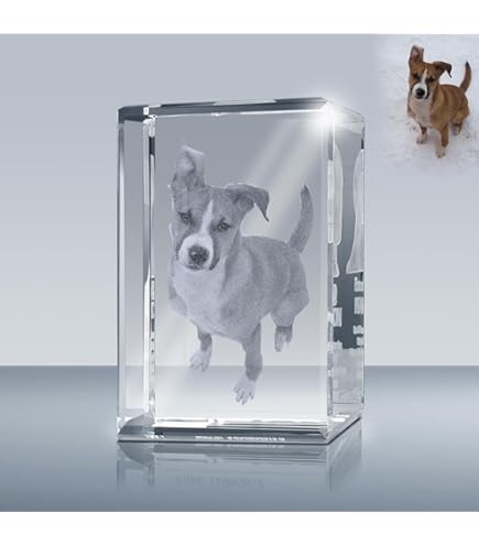 Personalized Custom 3D Photo Engraved Crystal Pet Gift (XL Rectangle