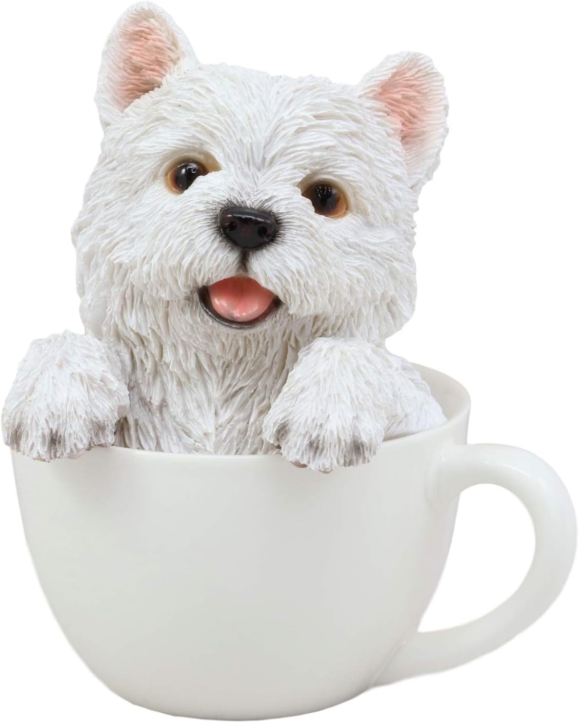 teacup westie puppies