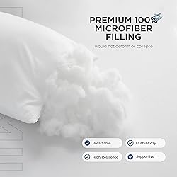 Acanva Throw Pillow Inserts for Bed Couch