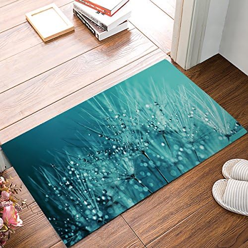 Findamy Non-slip Door Mat Entrance Rug Rectangle Absorbent Moisture Floor Carpet for Indoor Outdoor Raindrops Background Pattern Doormat 16x24 inch