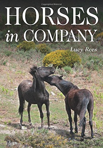 Horses in Company by Lucy Rees