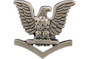 ARTISAN OWL United States Navy USN 3rd Class Crow .875" Lapel Pin