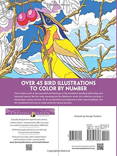 Amazon Com Creative Haven Birds Color By Number Coloring Book