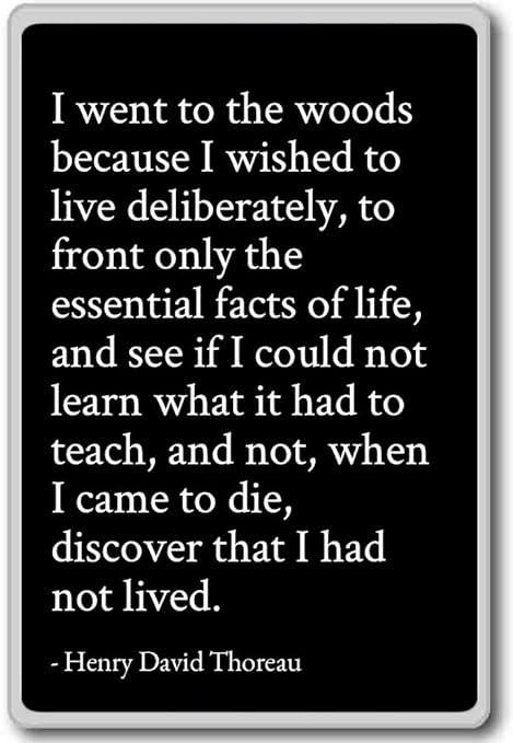 Amazon De Photomagnets I Went To The Woods Weil Ich Wollte