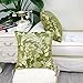 CaliTime Pack of 2 Throw Pillow Covers Cases for Couch Sofa Home Decor, Vintage Floral Leaves, 18 X 18 Inches, Olive Green