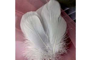 FEATUMAN 100Pcs Gray Natural Dyed Goose Feathers, 3-5Inch Craft Feathers Assorted Colors Feathers for Hat DIY Craft Wedding Party Birthday Clothing Decorations