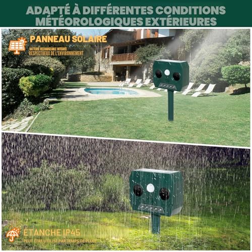 RAYGARD 2 x Outdoor Cat Repellent, Ultrasonic Solar Repellent for Dogs, Waterproof IP45, 12 m, 120 °, Garden Pet Scarer with LED Light for Cats, Dogs, Foxes, Martens