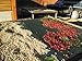 Costa Rica SHB Ep Tarrazu La Pastora 100% Arabica Coffee Beans (Medium Roast (Full City +), 5 pounds Whole Beans)