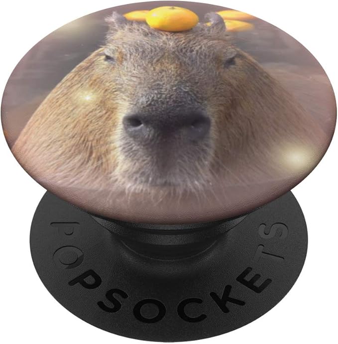 Cute Capybara With Orange on Head PopSockets