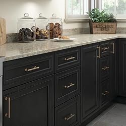 Franklin Brass Straight Bar Cabinet Pull, Champagne