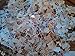 1000+ Used Worldwide Postage Stamps Off-paper Stamp International Stamp Collecting