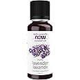 Now Lavender Oil Liquid, White, 30 ml (Pack of 1) - Package May Vary