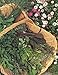 The Edible Herb Garden (Edible Garden Series)