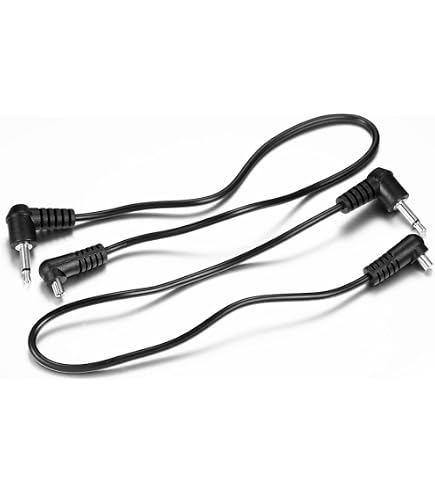 Amazon.com : Profoto Extension Cable for B2 Air TTL Off-Camera