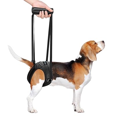Amazon Dog Support Harness Rear Solvit CareLift Rear-Only Lifting - Main Image