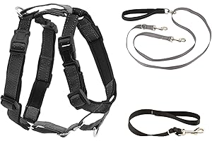 PetSafe 3-in-1 Harness with Two-Point Control Leash - Custom Fit Durable Obedience Gear for Gentle Behavior Training to Reduce Leash Pulling - Breathable Padded Design - Large - Black