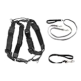 PetSafe 3 in 1 Harness with Two Point Control