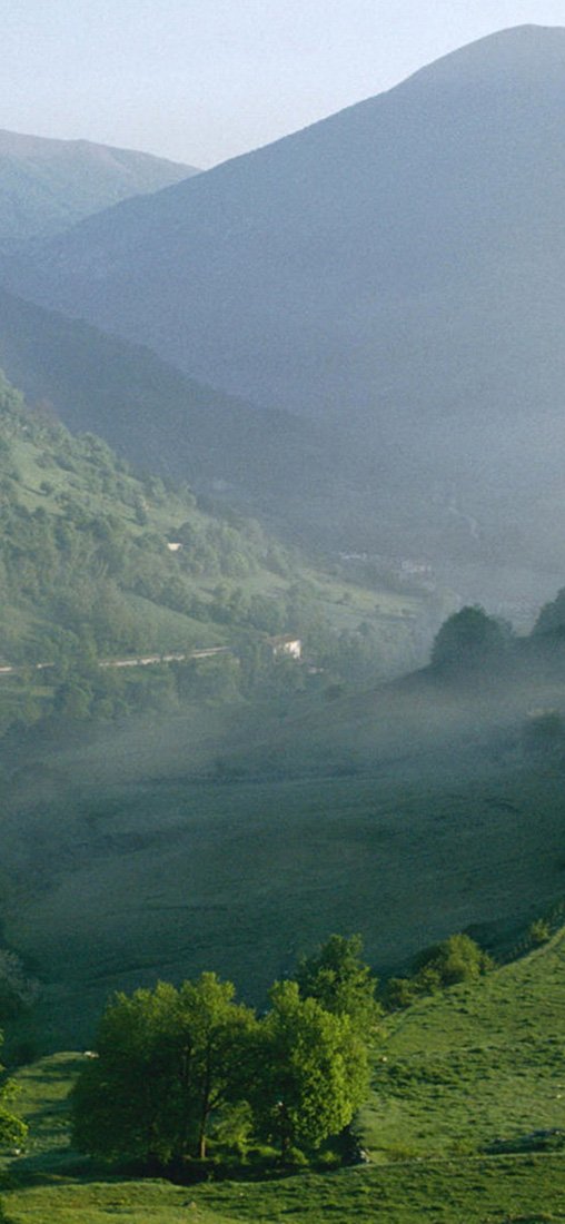 PeelitStickit, Beautiful Nature Wall Murals, ID-1262, vinyl