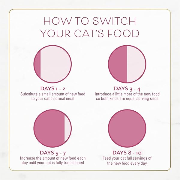 FANCY FEAST PURINA FILET MIGNON FLAVOR WITH REAL SEAFOOD & SHRIMP DRY CAT FOOD (7 OUNCE (PACK OF 1))