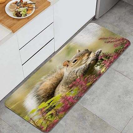 Amazon Ninehasa キッチンマット 玄関マット ナッツの花を食べるリス マイクロファイバー 滑り止め 45 1cm Ninehasa ホーム キッチン 通販 Amazon Ninehasa キッチンマット 玄関マット ナッツの花を食べるリス マイクロファイバー 滑り止め 45 1cm Ninehasa ホーム キッチン 通販