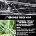 Halloween Decorations Spider Web with Fake Spiders. Super Stretchy Realistic Decor for Indoor and Outdoor, Durable Material. (800 Sq Ft)