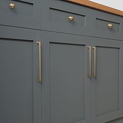 Goo-Ki Champagne Bronze Cabinet Pulls with