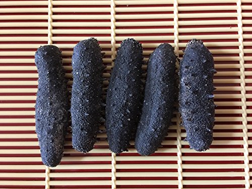 A級品 1kg入3g以下3sサイズ 送料無料 中華高級食材 関西産 乾燥なまこ 干しなまこ 日本 国産 日本産 天然 なまこ ナマコ 海参 乾燥 ナマコ 干しナマコ 淡干海参 干海参 金ん子 海鼠 乾燥なまこ