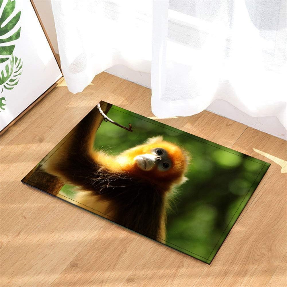 Amazon Com Liuh Forest Golden Haired Monkey Bathroom Mat 40 X 60cm 15 7 X 23 6 Inches Plus Velvet Non Slip Easy To Clean Garden Outdoor