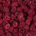 Harmony House Foods Freeze-Dried Raspberries, whole (3.5 oz, Quart Size Jar)
