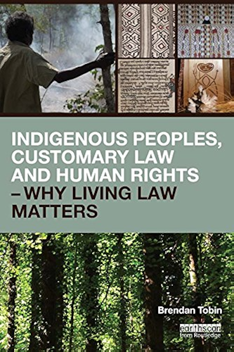 Download Indigenous Peoples, Customary Law and Human Rights - Why Living Law Matters (Routledge Studies in Law and Sustainable Development) (English Edition) PDF