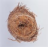 A GHOST IS BORN [Vinyl]