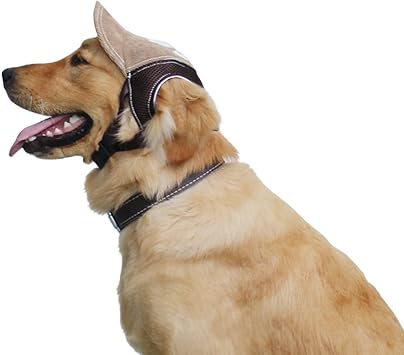 dog cap