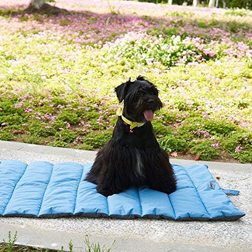 Gowild Oversize Cool Pets Mat Waterproof Outdoor Travel Dog Mats Indoor