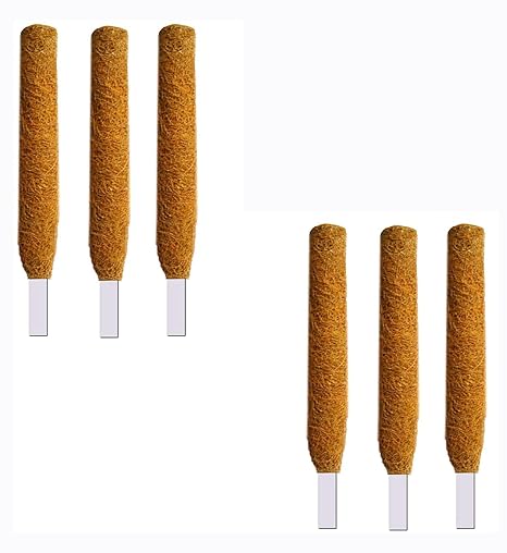 LIVEONCE - 1 feet Moss and Coir Stick for Indoor, House and Plant Creepers Support (Brown, 1 ft) -6 Pieces