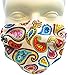 Breathe Healthy Dust, Allergy & Flu Mask - Comfortable, Washable Protection from Dust, Pollen, Allergens, Cold & Flu Germs with Antimicrobial; Asthma Mask; Paisley Punch (Adult)