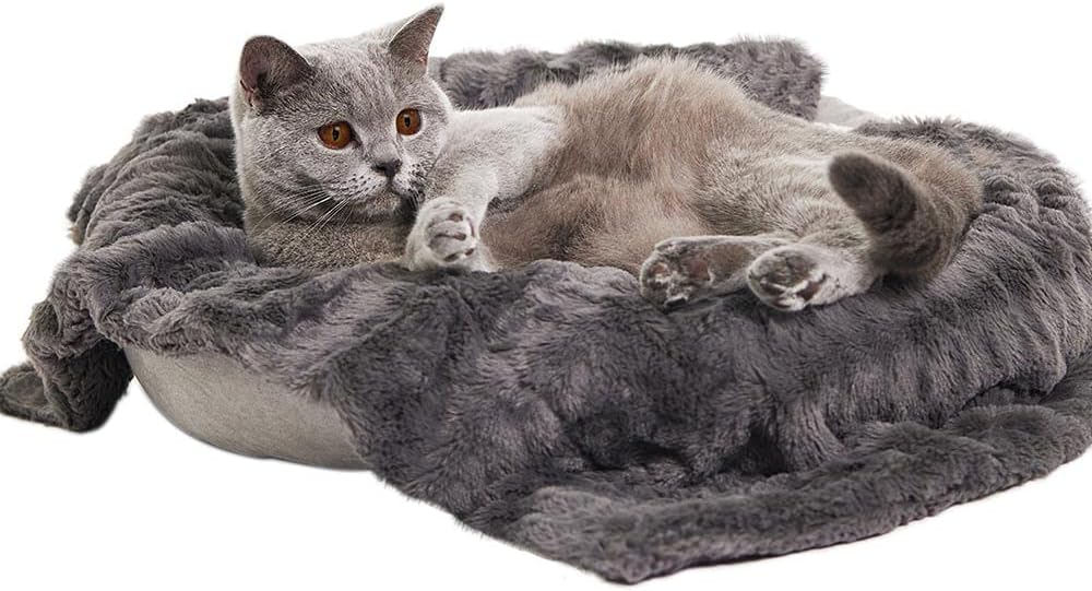 MIGHTY MONKEY Premium Pet Blanket, 32x40, Soft Reversible Sherpa Cat and Dog Blanket, Machine Washable, Fluffy, Non Shedding Faux Fur Throw for Puppy Bed, Crates, Couch, Medium Size, Fluffy Gray: Home & Kitchen