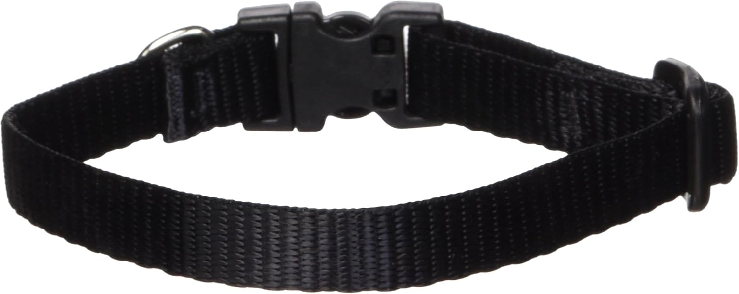 lupine dog collars amazon