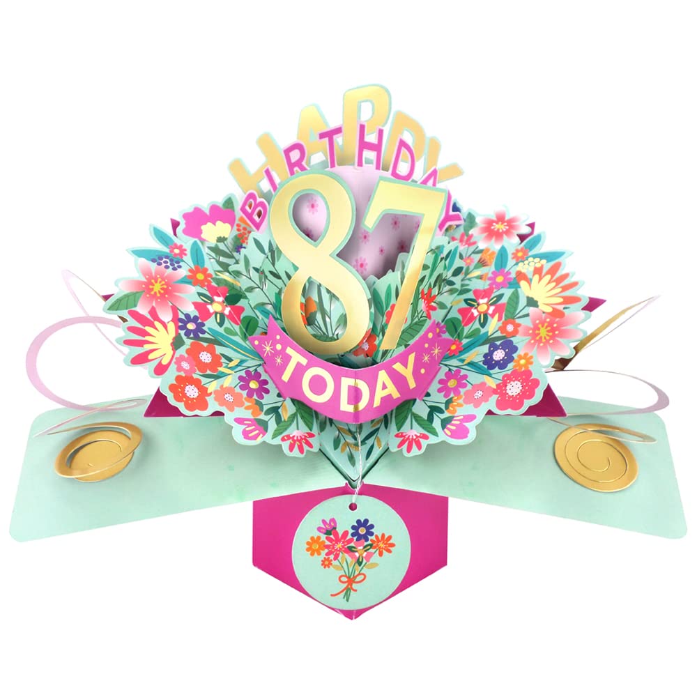 Happy 87th Birthday 87 Today Pop-Up Greeting Card Love Kate's Pop Up Cards Her POP215MC87