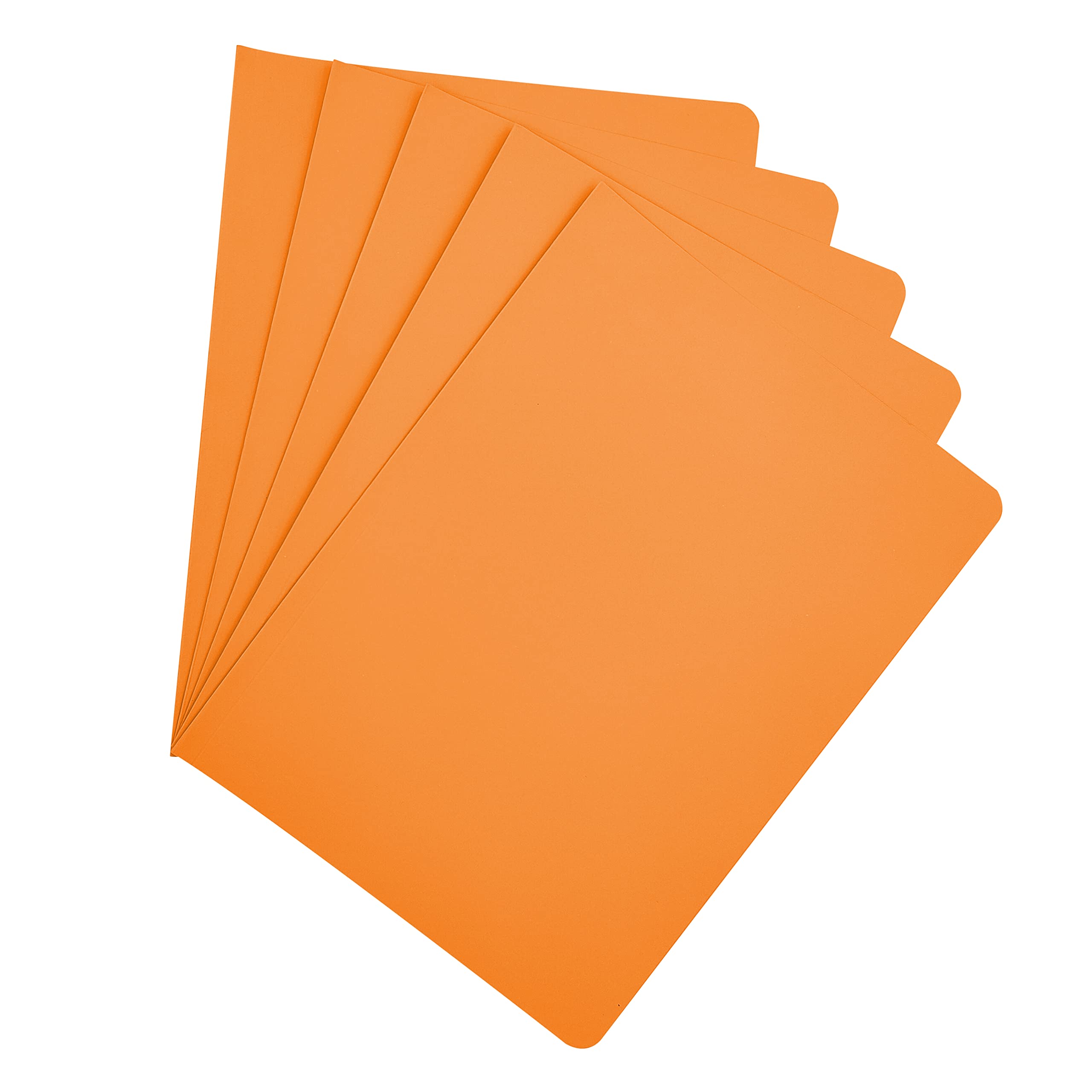 Raylu Paper® - Pack of 25 Cardboard Subfolders with Faster Holes and Vibrant Colours - Folder Made of Thick Kraft Cardboard (Orange, Folio)