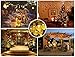 Crystal Ball Lights, Mulcolor 33ft/10m 100 LED Fairy Bubble Crystal Ball Lights Decorative Outdoor Globe String Lights for Christmas Trees, Garden, Patio, Wedding, Party and Holiday,Warm White