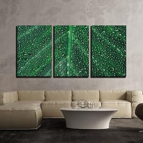 3 Piece Canvas Wall Art - Beautiful Green Leaf with Shiny Drops - Modern Home Art Stretched and Framed Ready to Hang - 16"x24"x3 Panels