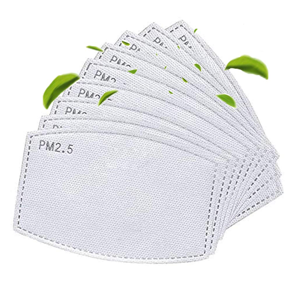 Amazon.com : PM 2.5 Activated Carbon Filter Insert, Replaceable Anti