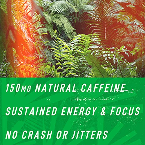 Organic Clean Energy Drink by RUNA BOLD Sampler Pack Organic Plant