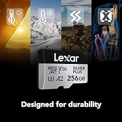 Lexar 256GB Professional Silver Plus microSDXC