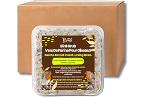 Chirp & Maple, Bird Grub, Suet for Wild Birds, Wild Bird Food (3.6KG)