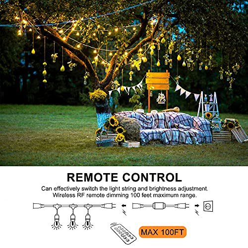 Outdoor Dimmer, 600W Dimmer for Outdoor String Lights, 100FT Remote