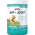 Health Extension Chondroitin with Glucosamine for Dogs, 16oz - Arthritis Pain Relief, Joint & Hip Supplement, Cheese Flavored Powder