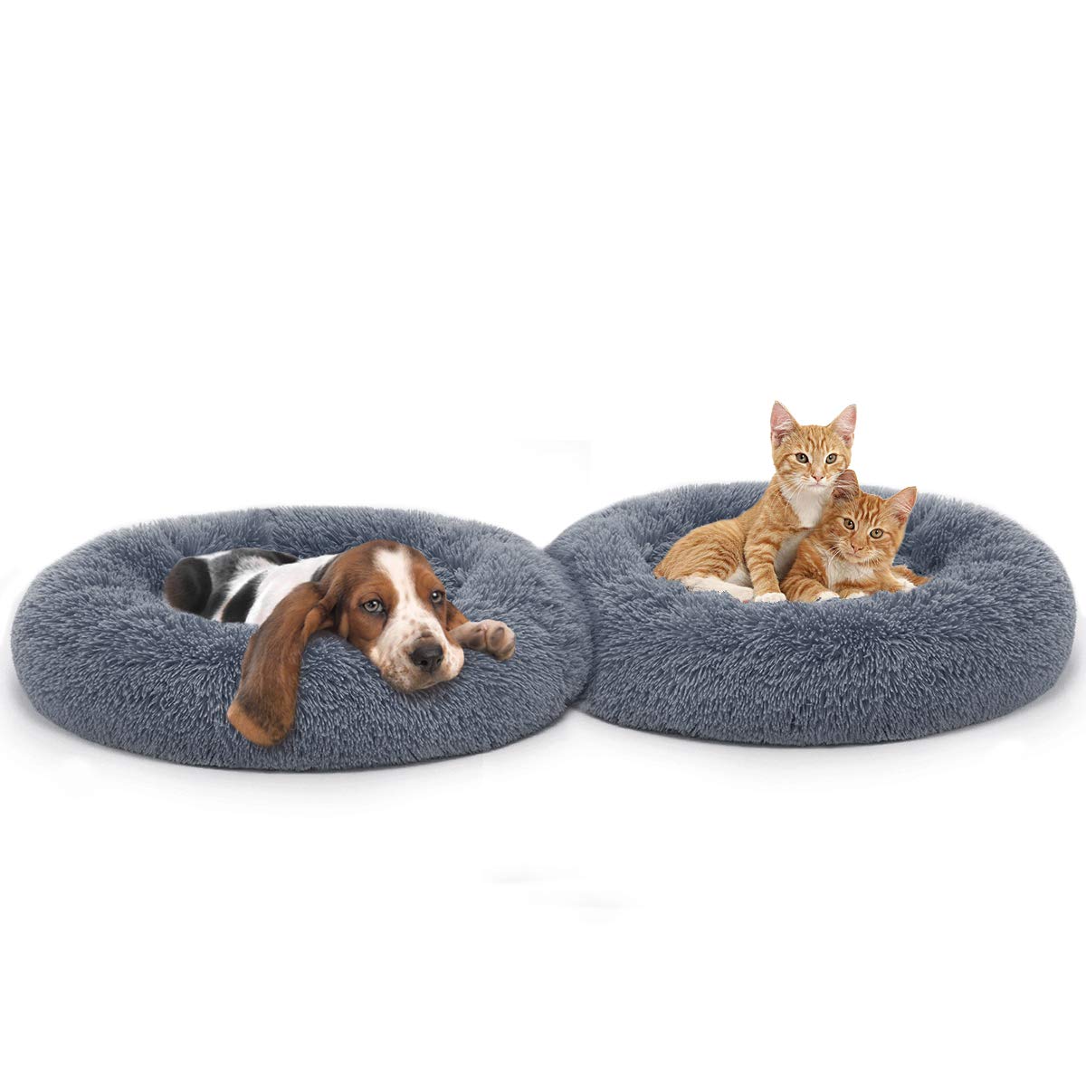 https://images-na.ssl-images-amazon.com/images/I/61f-FUZEujL.jpg